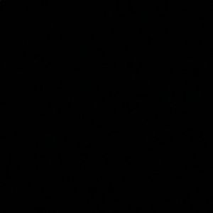 Meet your Posher, Rae